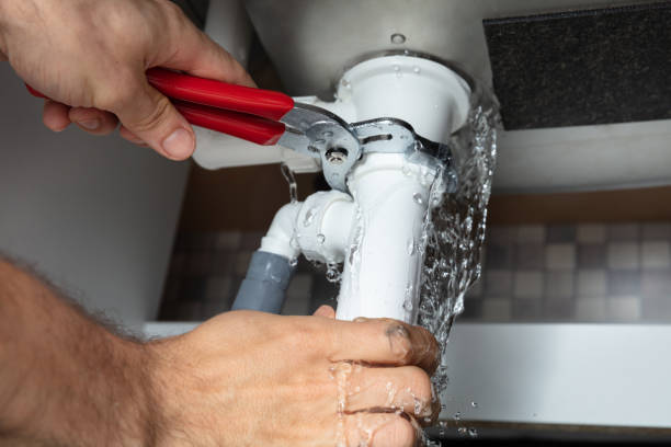 Best Flooded house restoration  in Etowah, NC