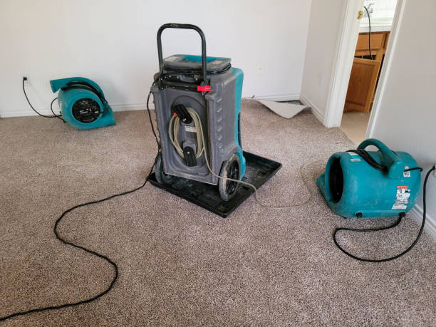 Best Water damage restoration process  in Etowah, NC