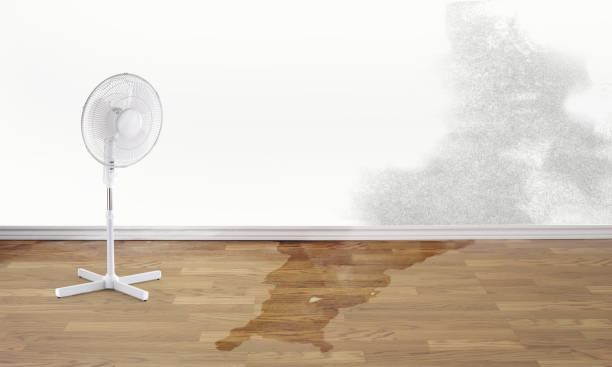  Etowah, NC Water damage restoration Pros