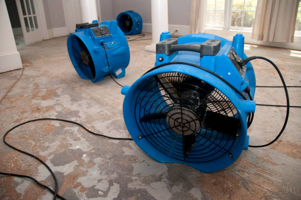 Best Basement water damage restoration  in Etowah, NC