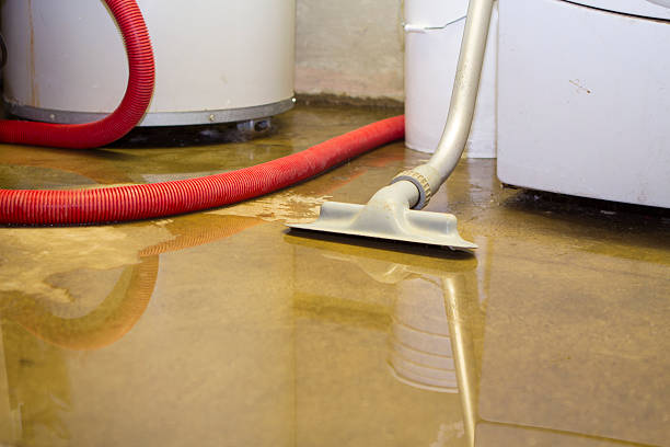 Best Local water damage restoration  in Etowah, NC