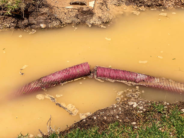 Best Carpet water damage restoration  in Etowah, NC